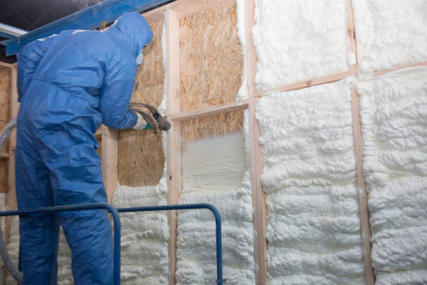 Eco-Friendly Insulation Solutions in Lancaster, CA